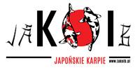 Japońskie karpie Koi