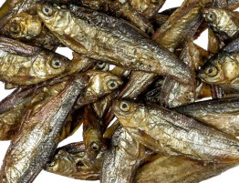 10007_fische_4_7cm