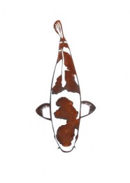 Koi-Edelrost-Kohaku-30-cm_0Ro92BP5iFN2DD