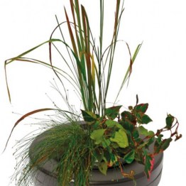 floating_plant_basket_o_30_cm-456x4562