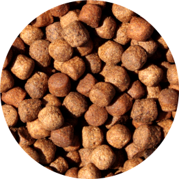 jumbo_Mix_8_9mm